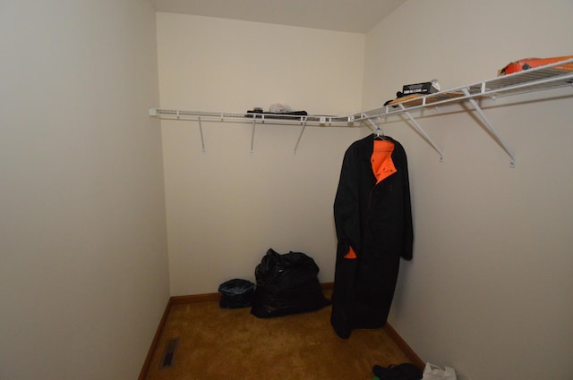 141 Fergus Way, Tobyhanna, PA 18466 - spacious closet with carpet flooring