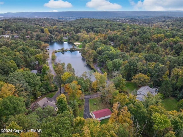 bird's eye view with a view of trees and a water view