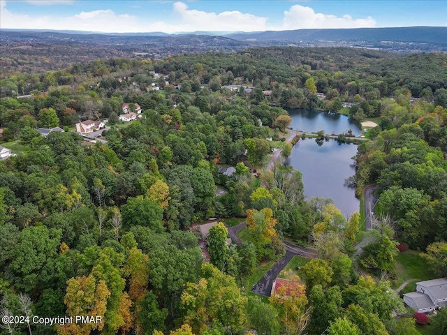 aerial view featuring a view of trees and a water view