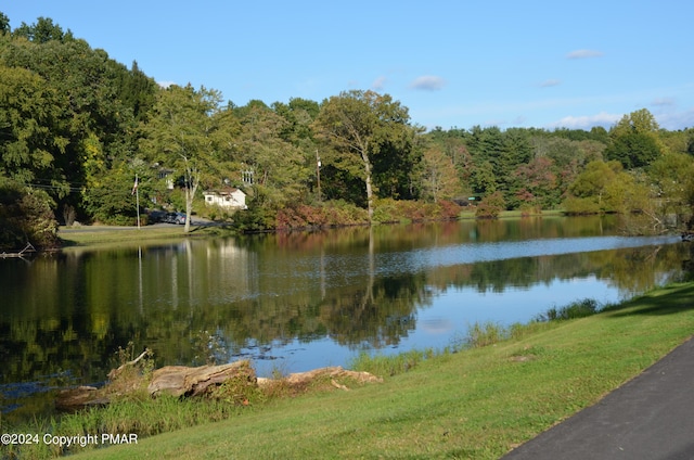 water view with a wooded view