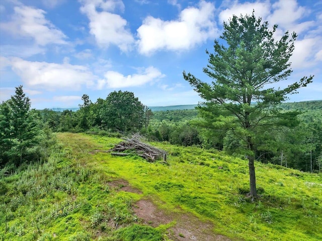 Dixon Ln, White Haven, PA 18661 - photo 22