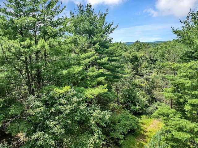 Dixon Ln, White Haven, PA 18661 - photo 24