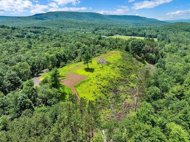 Dixon Ln, White Haven, PA 18661 - photo 21