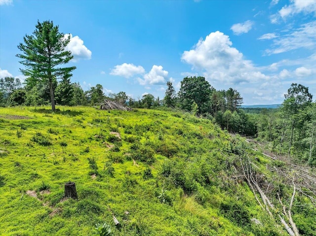 Dixon Ln, White Haven, PA 18661 - photo 34