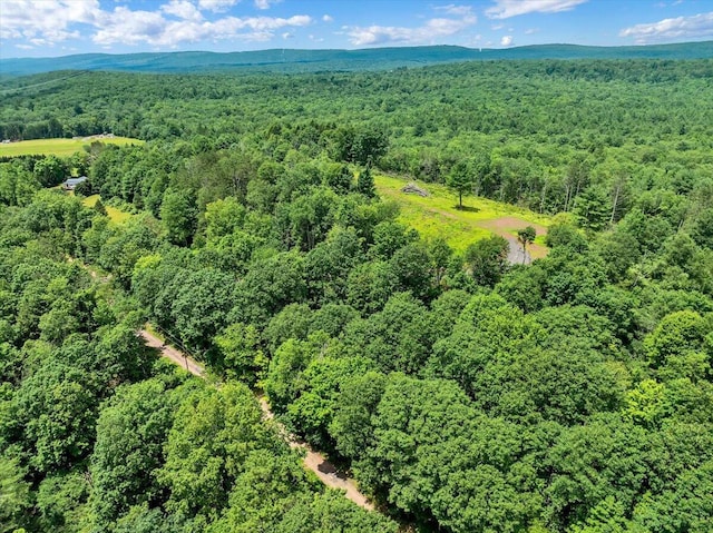 Dixon Ln, White Haven, PA 18661 - photo 19