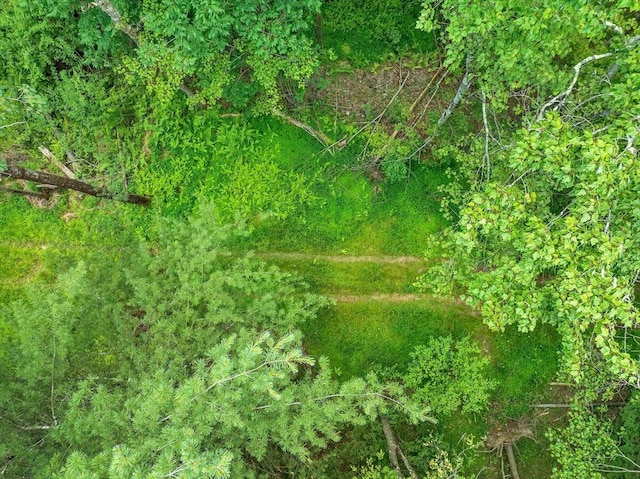 Dixon Ln, White Haven, PA 18661 - photo 25