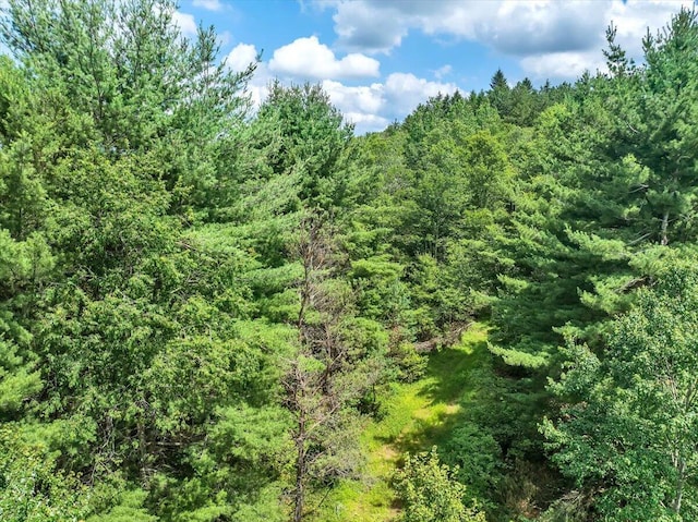 Dixon Ln, White Haven, PA 18661 - photo 23