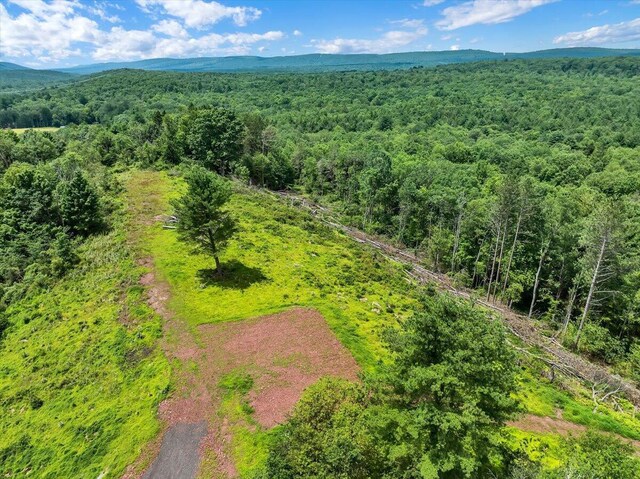 Dixon Ln, White Haven, PA 18661 - photo 1