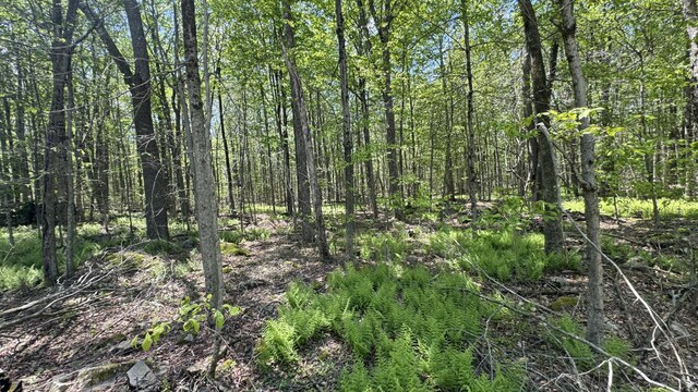 184 Paxinos Dr, Pocono Lake, PA 18347 - photo 66