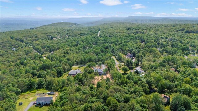460 Scenic Dr # 4223, Albrightsville, PA 18210 - photo 11