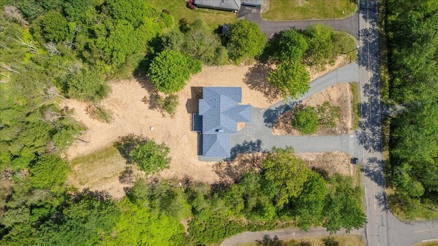 460 Scenic Dr # 4223, Albrightsville, PA 18210 - photo 10