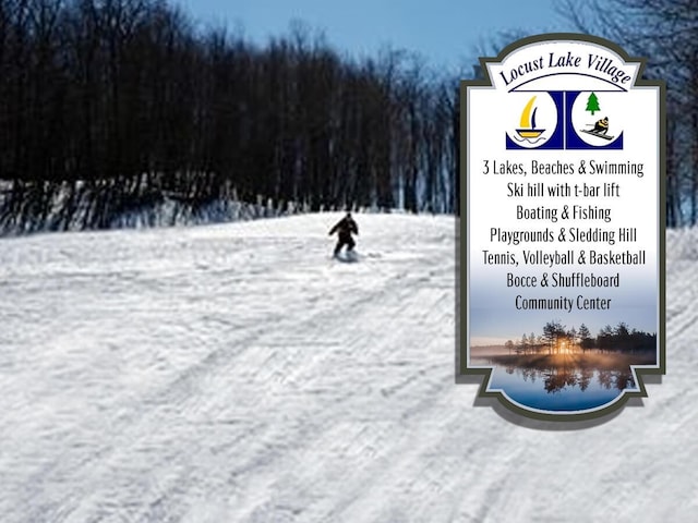 235 White Pine Ln, Pocono Lake, PA 18347 - exterior view