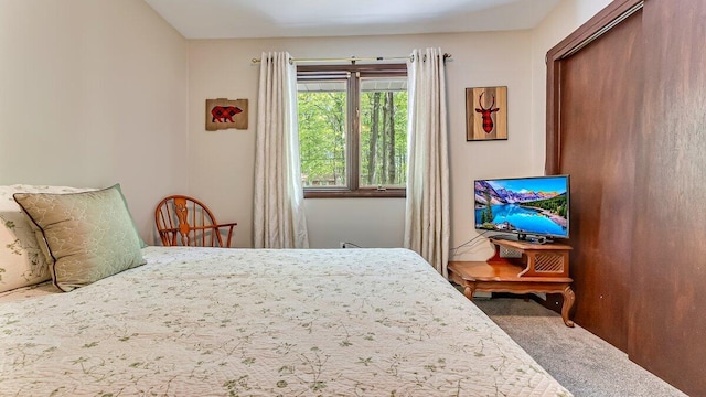 235 White Pine Ln, Pocono Lake, PA 18347 - view of carpeted bedroom