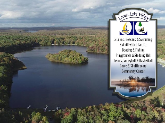 235 White Pine Ln, Pocono Lake, PA 18347 - aerial view of a forest and a large body of water
