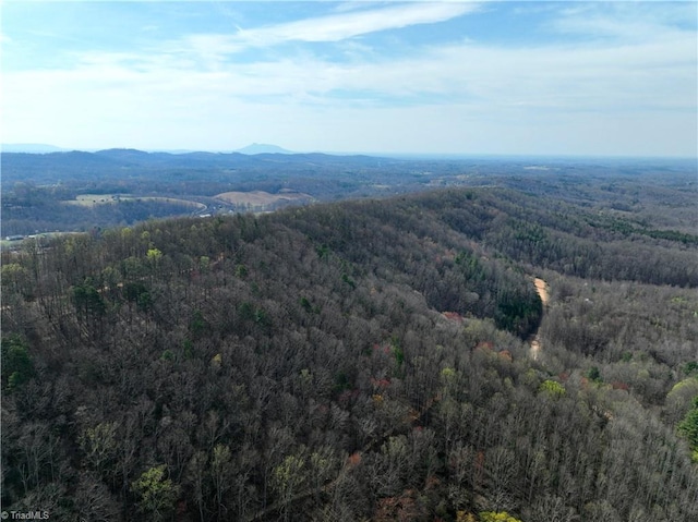 0 NE Pine St, Mount Airy, NC 27030