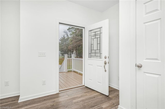 entrance foyer featuring hardwood / wood-style flooring