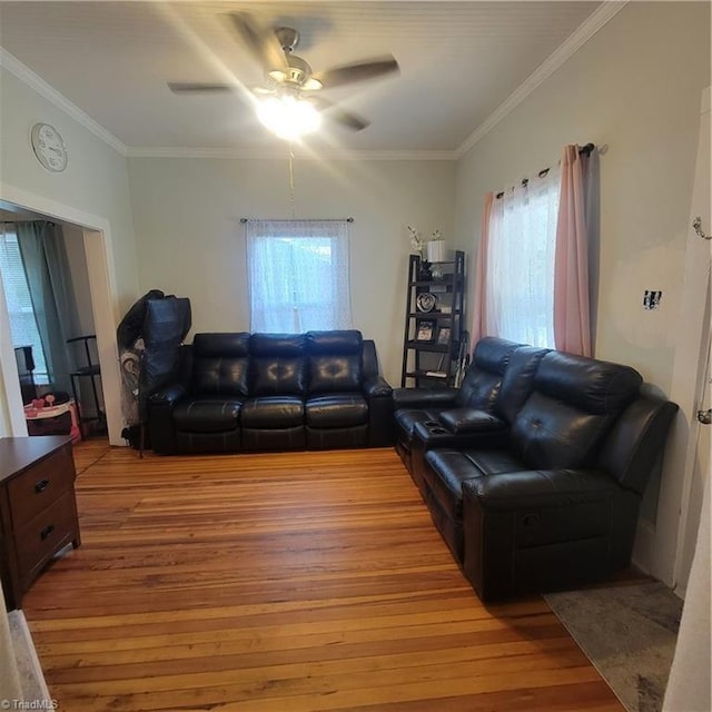 living room featuring a wealth of natural light, ceiling fan, hardwood / wood-style floors, and crown molding