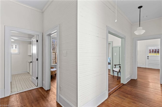 hallway with attic access, wood-type flooring, and crown molding