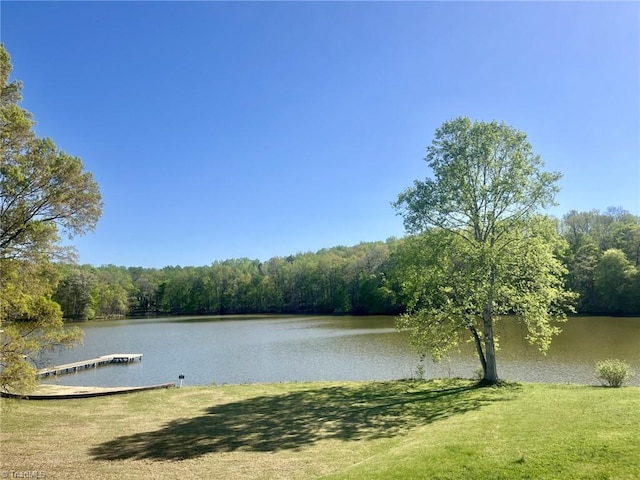 517 Raspberry Hill Rd, Winston-Salem, NC 27106 - water view featuring a forest and a boat dock