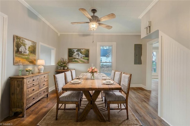 dining room with dark hardwood / wood-style floors, ceiling fan, crown molding, and electric panel