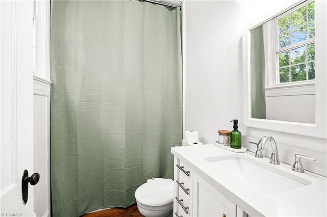 full bathroom with toilet, a shower with curtain, and vanity
