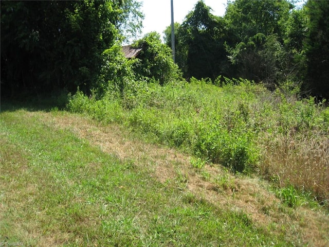 Listing photo 3 for TBD Rogers Road Tbd Rogers Road, Mount Airy NC 27030