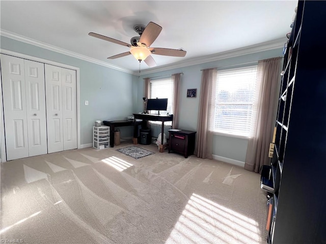 office with ceiling fan, light colored carpet, and ornamental molding