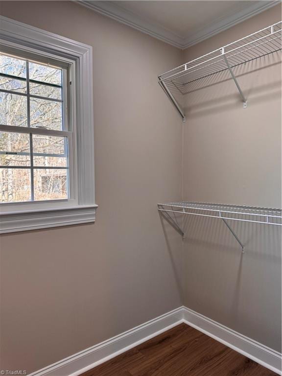 walk in closet featuring wood finished floors