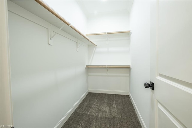 walk in closet featuring dark colored carpet