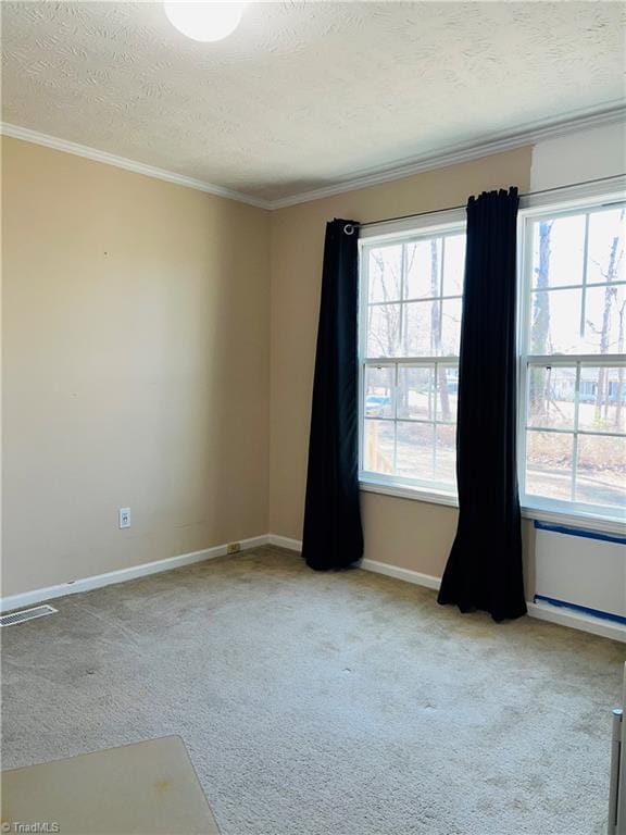 carpeted spare room featuring ornamental molding and a textured ceiling