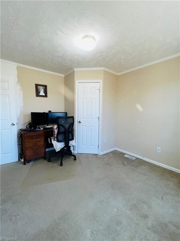 office space with crown molding, a textured ceiling, and carpet