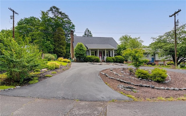 view of front of property featuring curved driveway and a chimney