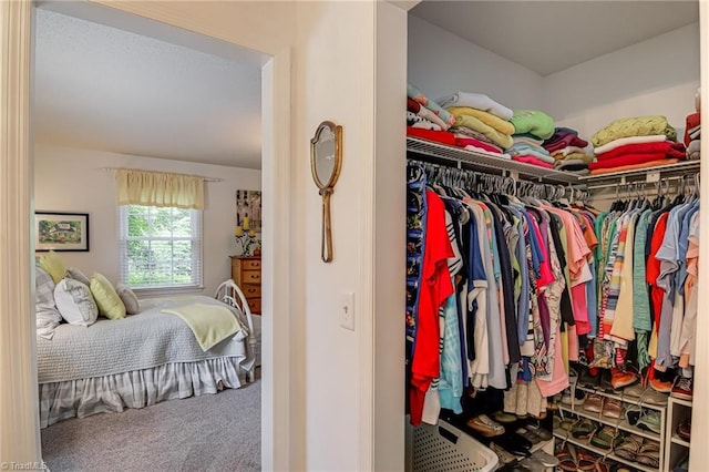 spacious closet with carpet floors