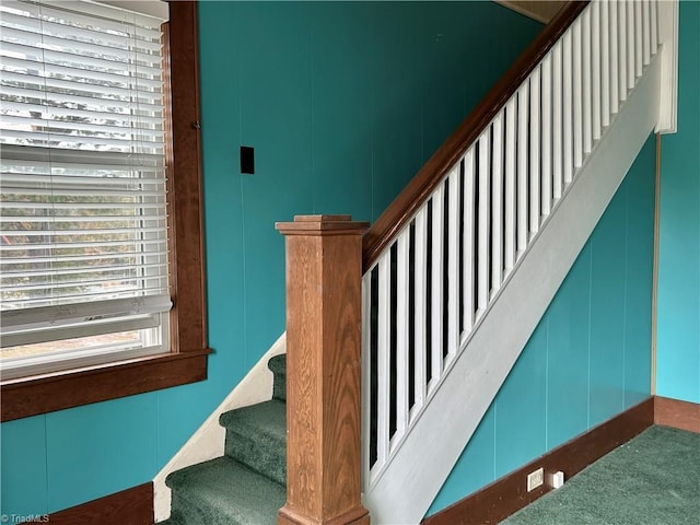 stairs featuring a healthy amount of sunlight and carpet