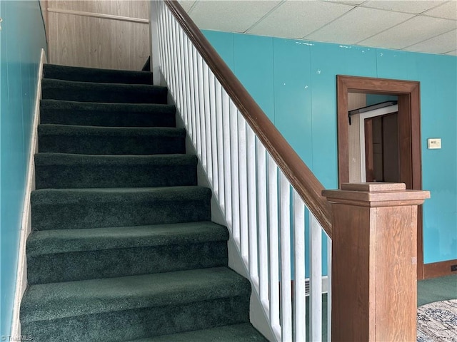 stairway featuring carpet floors and a drop ceiling