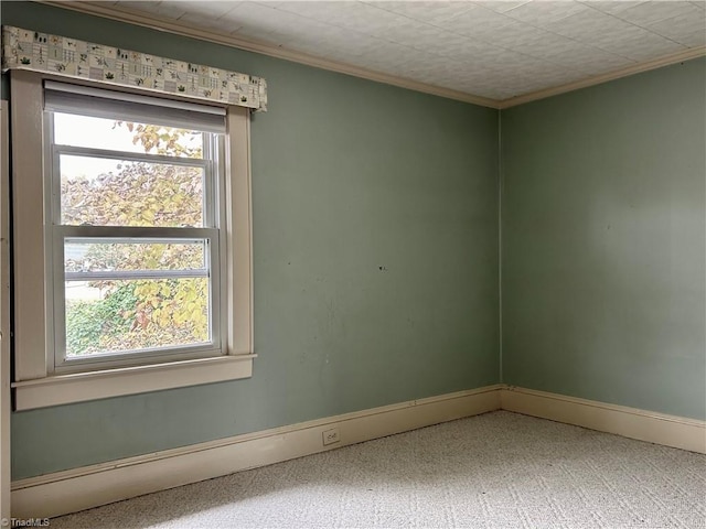 empty room with crown molding and carpet