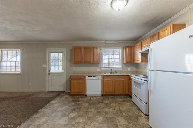 kitchen featuring carpet, ornamental molding, a textured ceiling, white appliances, and sink