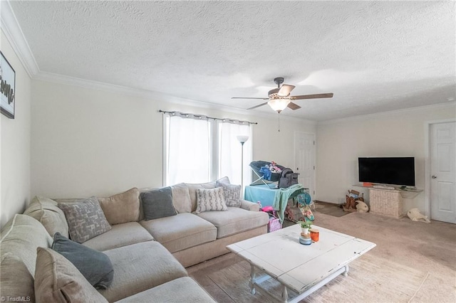 carpeted living room with a ceiling fan, a textured ceiling, and ornamental molding