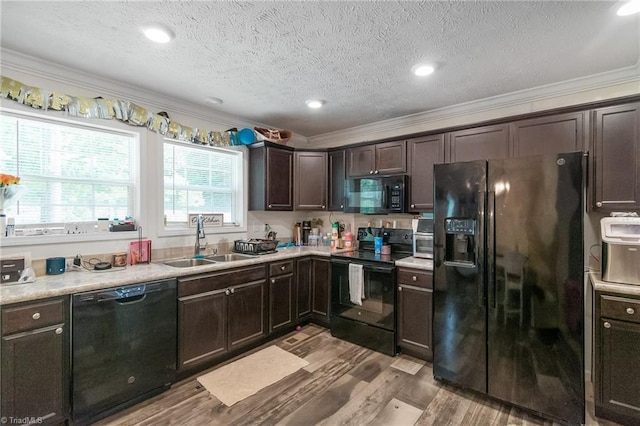 kitchen featuring crown molding, dark brown cabinets, a sink, wood finished floors, and black appliances