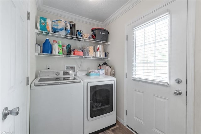 laundry room featuring a wealth of natural light, ornamental molding, laundry area, and washer and clothes dryer