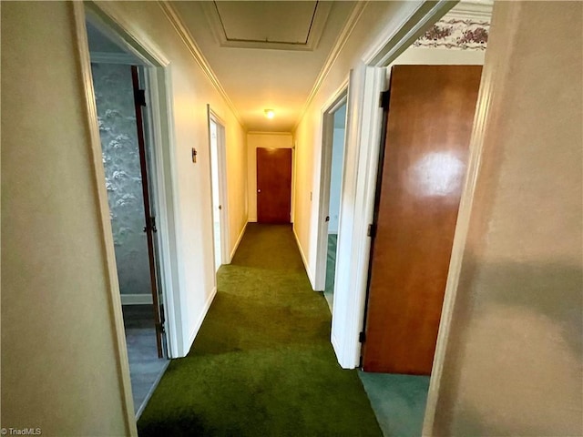 hallway featuring ornamental molding and dark carpet