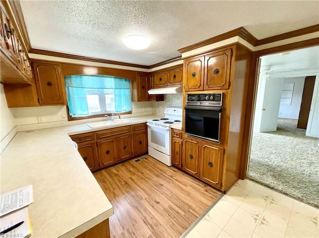 kitchen with sink, white range with electric stovetop, light colored carpet, oven, and crown molding