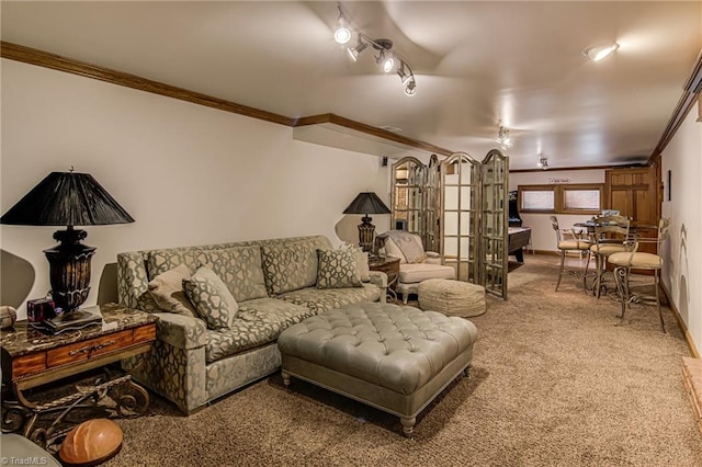 3705 Bradwyck Cir, Winston-Salem, NC 27104 - living area with carpet floors, ornamental molding, baseboards, and rail lighting