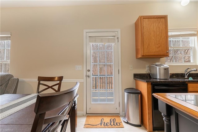 kitchen with dishwasher and a wealth of natural light