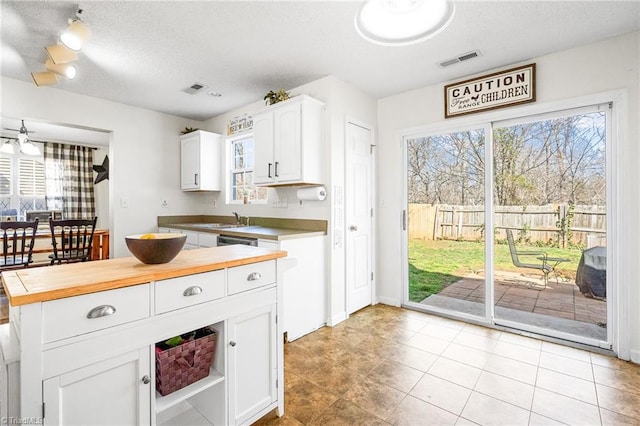 kitchen with a healthy amount of sunlight, visible vents, and white cabinetry