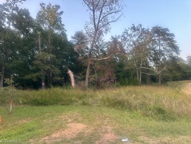 LOT3 Charlie Francis Rd, Sandy Ridge NC, 27046 land for sale