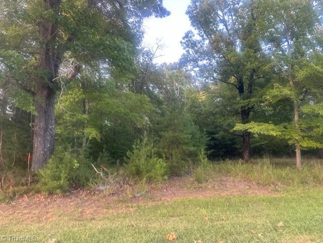 Listing photo 3 for LOT3 Charlie Francis Rd, Sandy Ridge NC 27046