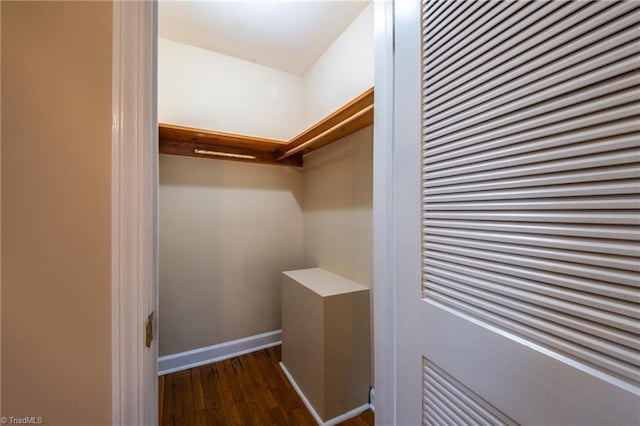 spacious closet featuring dark wood-style flooring