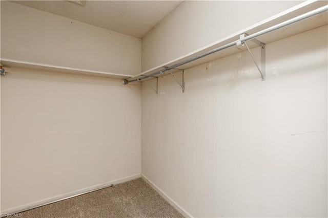 walk in closet featuring carpet