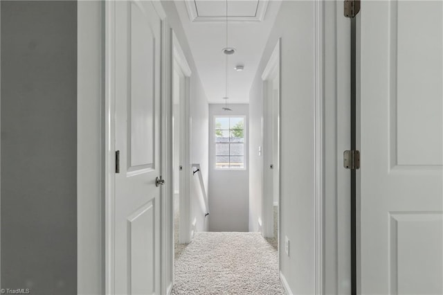 hall featuring attic access and carpet flooring